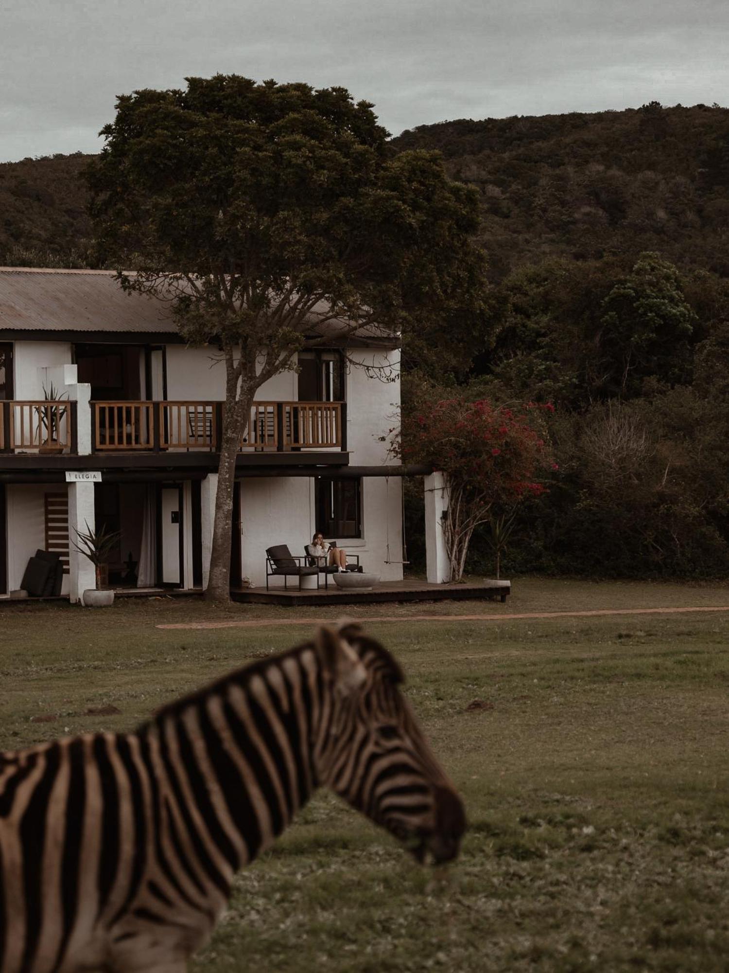Stanley Island Villa Plettenberg Bay Ngoại thất bức ảnh